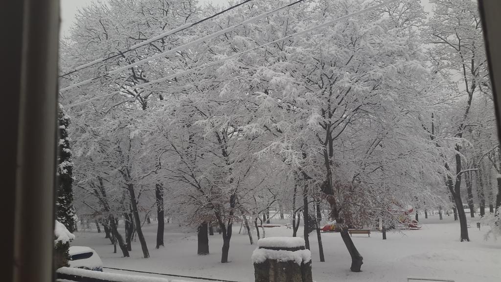 Fiáker Panzió Miskolc Kültér fotó
